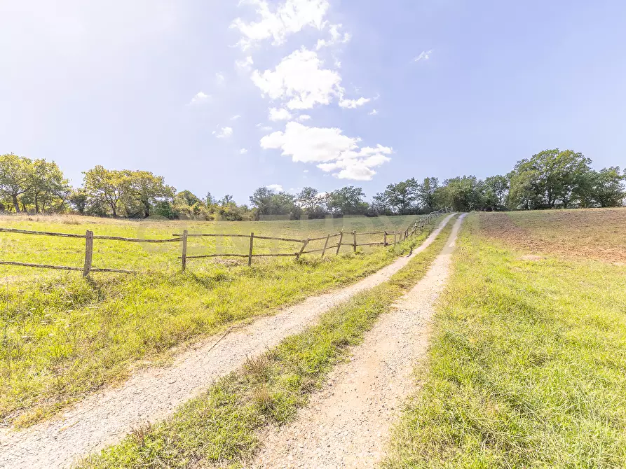 Immagine 39 di Rustico / casale in vendita  in località san quirichello a Barbarano Romano