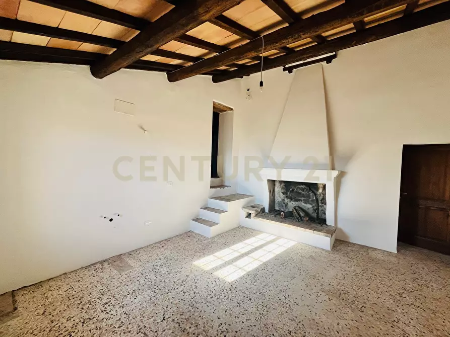 Immagine 24 di Casa bifamiliare in vendita  in località podere pelacane snc a Cinigiano