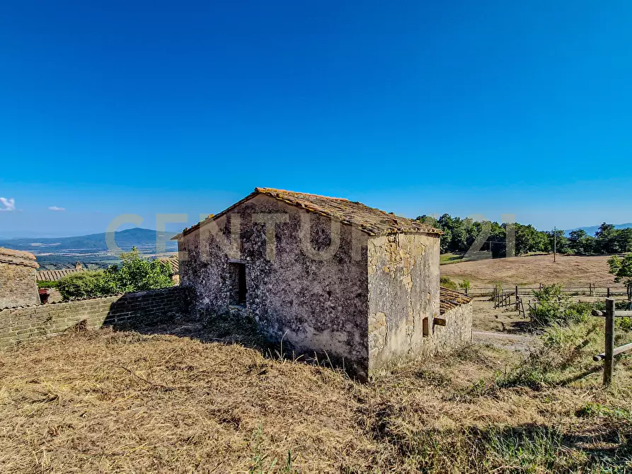 Immagine 3 di Rustico / casale in vendita  in località case cinigliano a Roccastrada