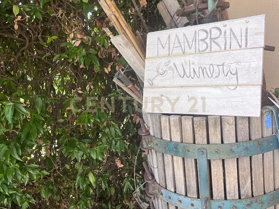 Immagine 19 di Azienda agricola in vendita  in Strada dei Sassi Bianchi a Manciano