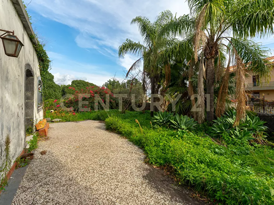 Immagine 17 di Casa indipendente in vendita  in Via Nuova sn a Acireale