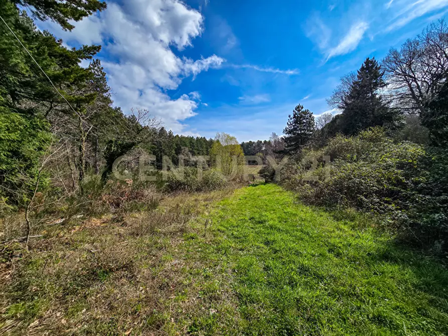 Immagine 22 di Rustico / casale in vendita  in Strada Provinciale 7 a Cinigiano