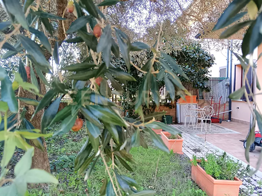 Immagine 22 di Terratetto in vendita  in Via del Bollore a Castiglione D'orcia