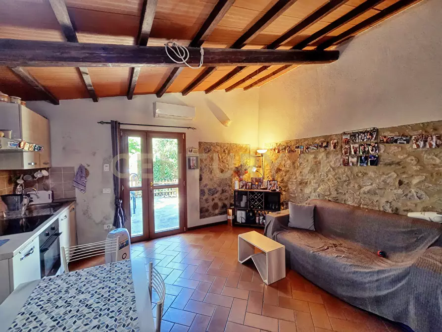 Immagine 27 di Rustico / casale in vendita  in Strada Provinciale Giuncarico 11 a Roccastrada