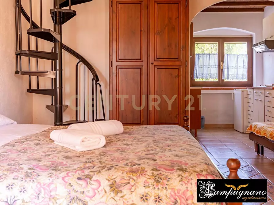 Immagine 39 di Rustico / casale in vendita  in agriturismo lampugnano 47 a Civitella Paganico