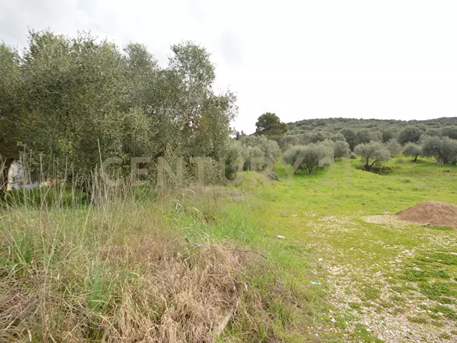 Immagine 3 di Porzione di casa in vendita  in Via Aurelia Sud 106 a Grosseto