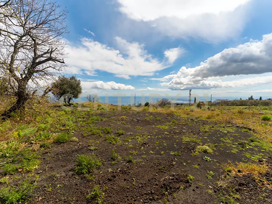 Immagine 9 di Terreno edificabile in vendita  in Via Nocille 55 a Mascali