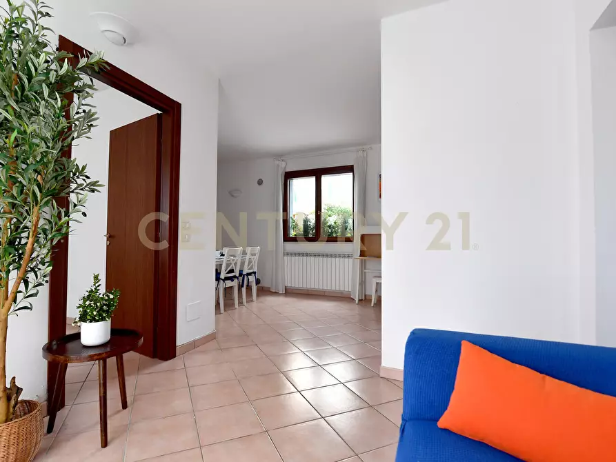 Immagine 24 di Terratetto in vendita  a Grosseto