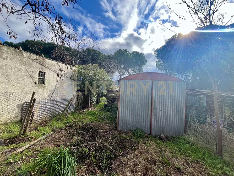 Immagine 11 di Pentalocale in vendita  in località casini a Scansano