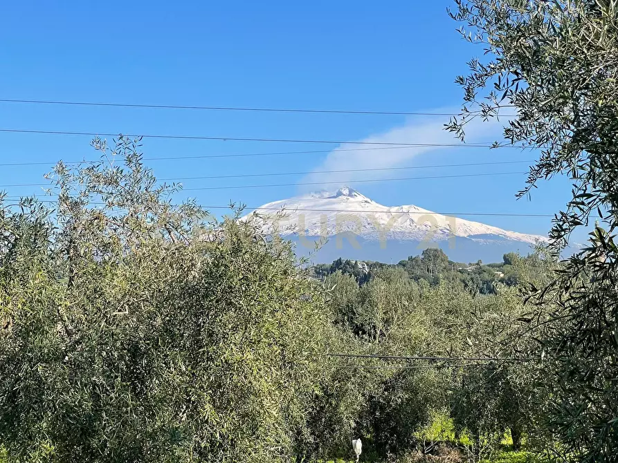 Immagine 1 di Terreno agricolo in vendita  in contrada agnelleria a Belpasso