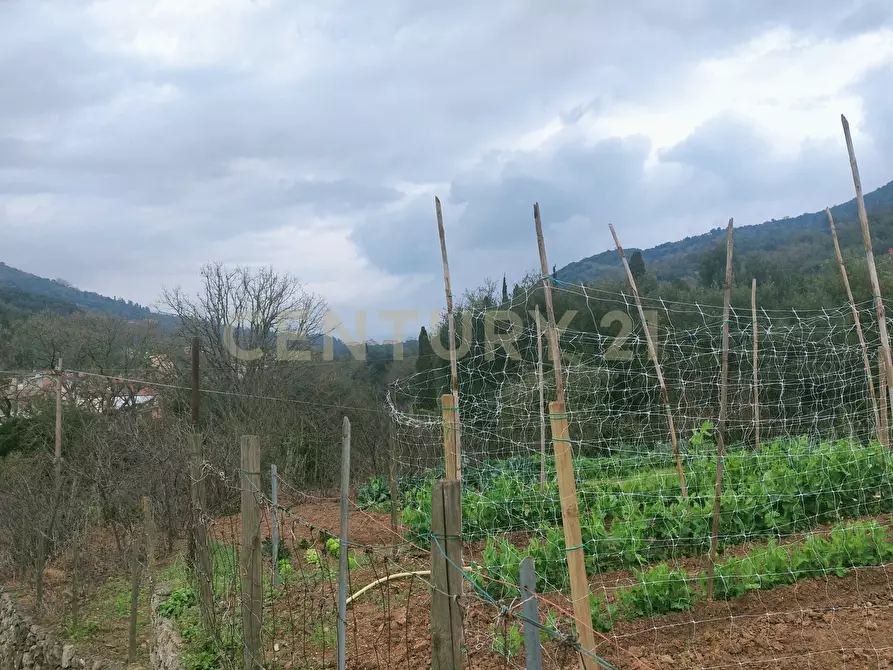 Immagine 21 di Rustico / casale in vendita  in Via del Campone 124 a Monte Argentario