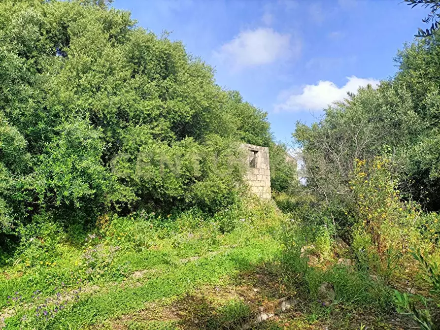 Immagine 2 di Terreno edificabile in vendita  in Via Palermo a Catania