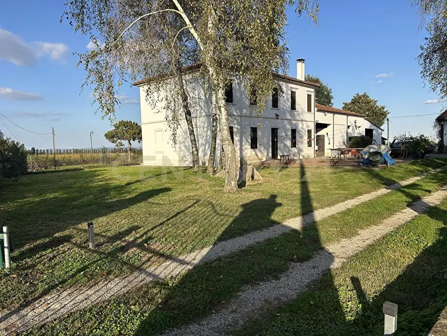 Immagine 46 di Rustico / casale in vendita  in Via Trento 70 a Minerbe