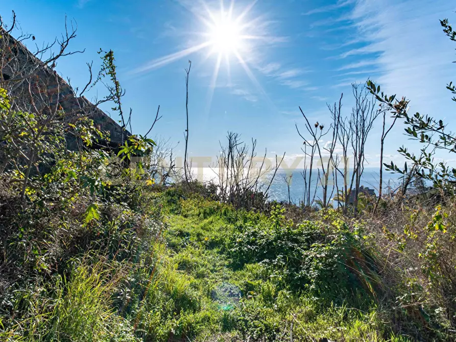 Immagine 19 di Terreno agricolo in vendita  in Via Vampolieri a Aci Castello