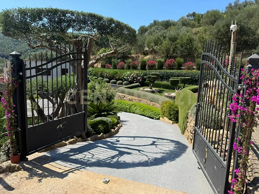 Immagine 4 di Porzione di casa in vendita  in Via degli Atleti a Monte Argentario