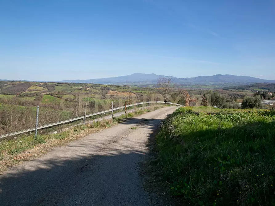 Immagine 2 di Porzione di casa in vendita  a Civitella Paganico