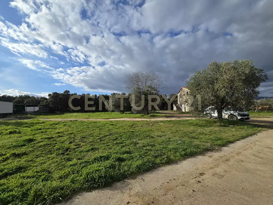 Immagine 2 di Rustico / casale in vendita  in Via di Lattaia a Roccastrada
