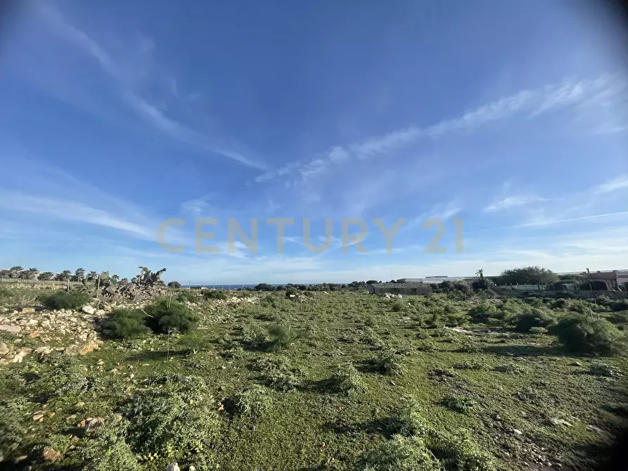 Immagine 9 di Terreno agricolo in vendita  in CONTRADA CORRIDORE CAMPANA SNC a Portopalo Di Capo Passero