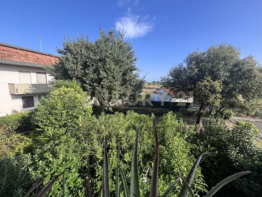 Immagine 42 di Casa semindipendente in vendita  a Grosseto