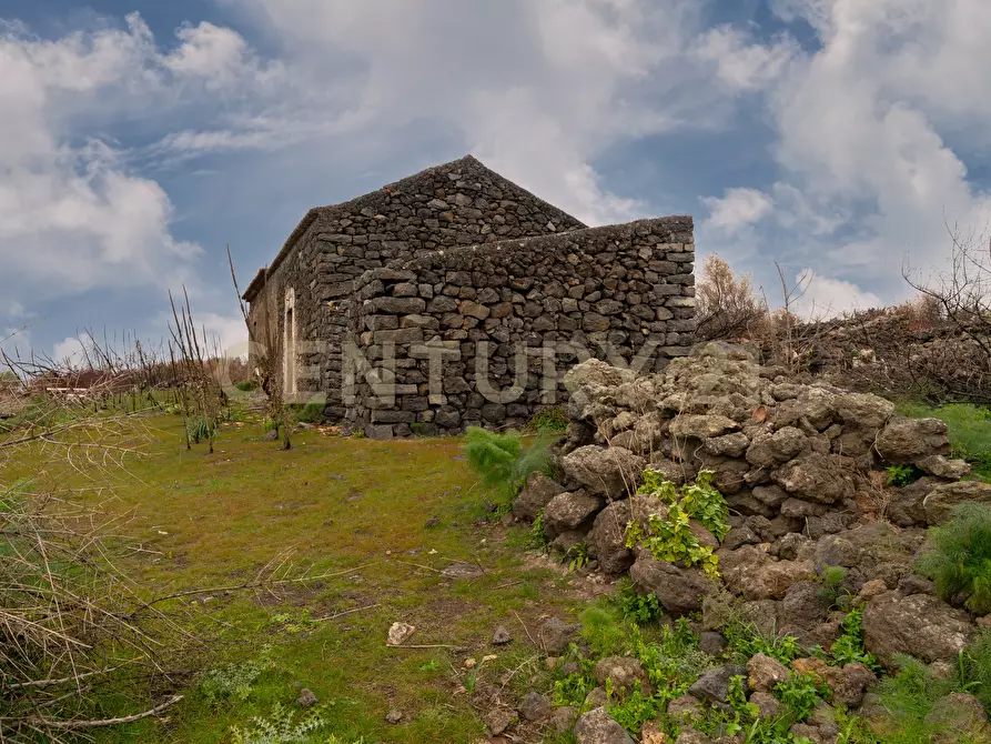 Immagine 13 di Terreno agricolo in vendita  in Via Santa Maria di Licodia a Belpasso