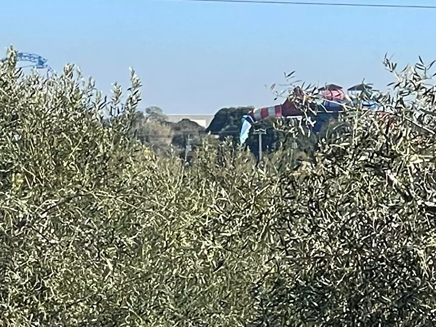 Immagine 8 di Terreno agricolo in vendita  in contrada agnelleria a Belpasso