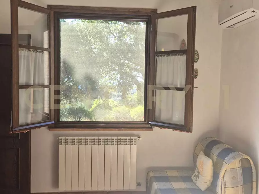 Immagine 6 di Azienda agricola in vendita  in località poggio al capraio snc a Roccastrada