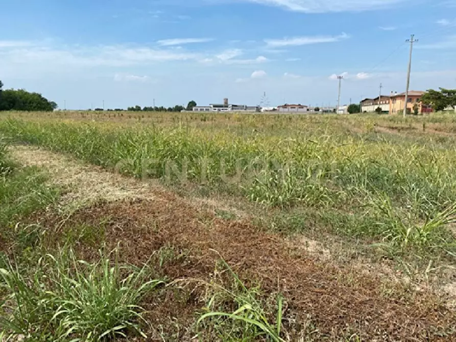 Immagine 2 di Terreno industriale in vendita  in Via le Cassere a Oppeano
