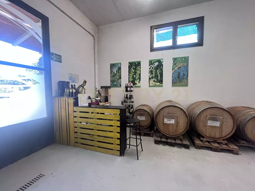 Immagine 22 di Azienda agricola in vendita  in Strada dei Sassi Bianchi a Manciano