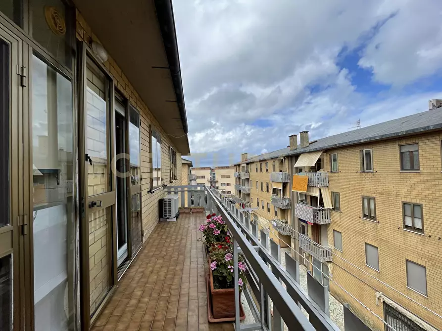 Immagine 18 di Trilocale in vendita  in Via Donatori del Sangue a Orbetello