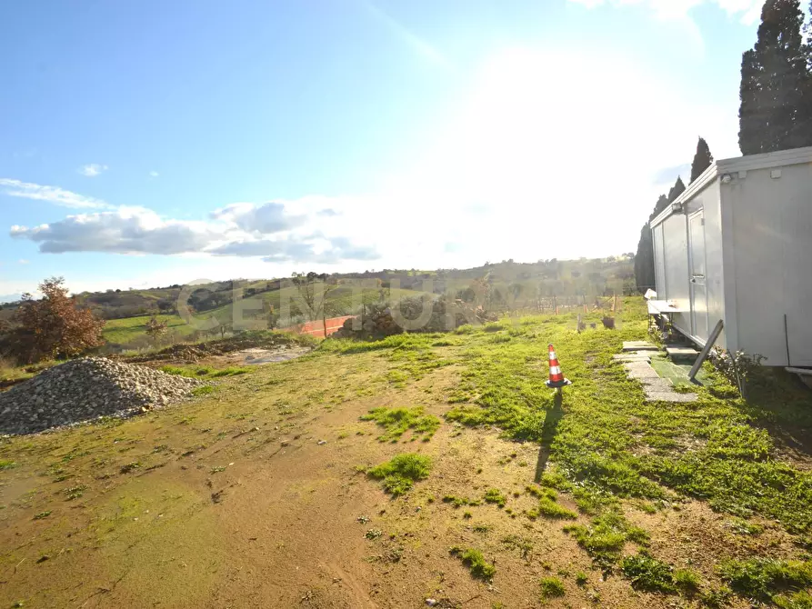 Immagine 6 di Casa bifamiliare in vendita  a Magliano In Toscana