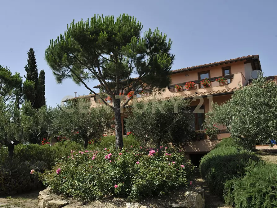 Immagine 10 di Villa in vendita  in Strada di Monte Bottigli a Grosseto