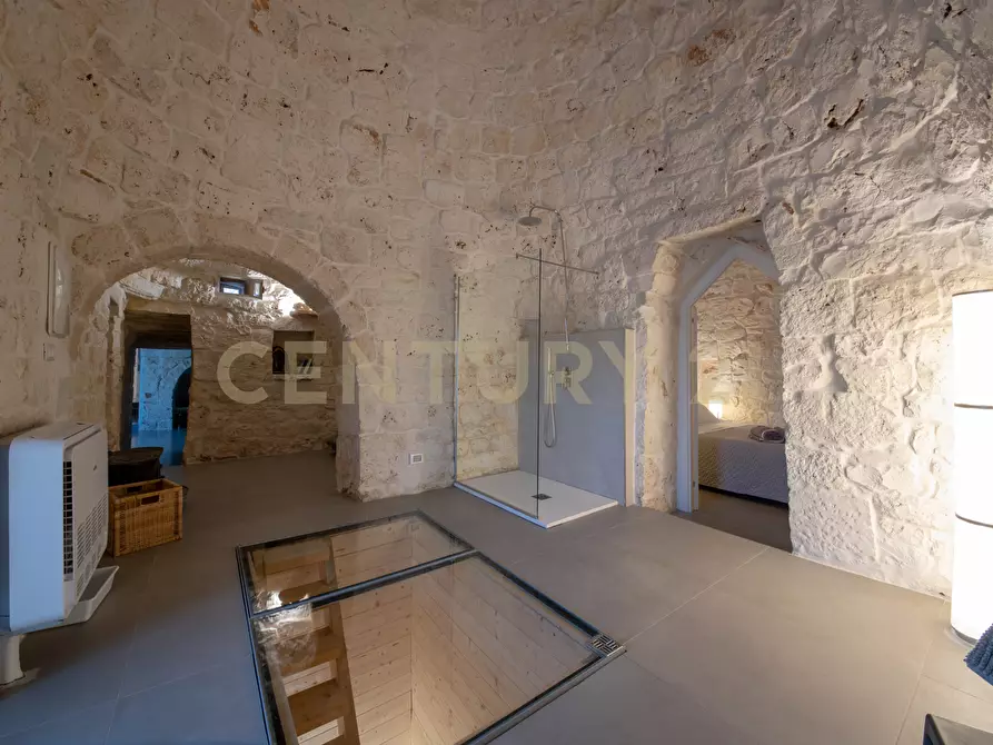 Immagine 79 di Villa in vendita  a Carovigno