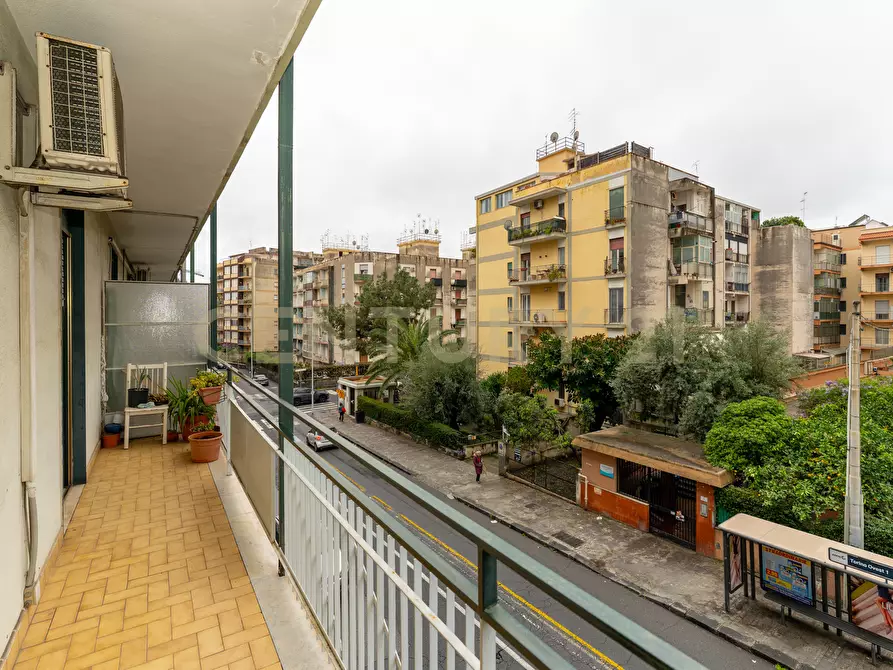 Immagine 25 di Trilocale in vendita  in Via Torino 86 a Catania