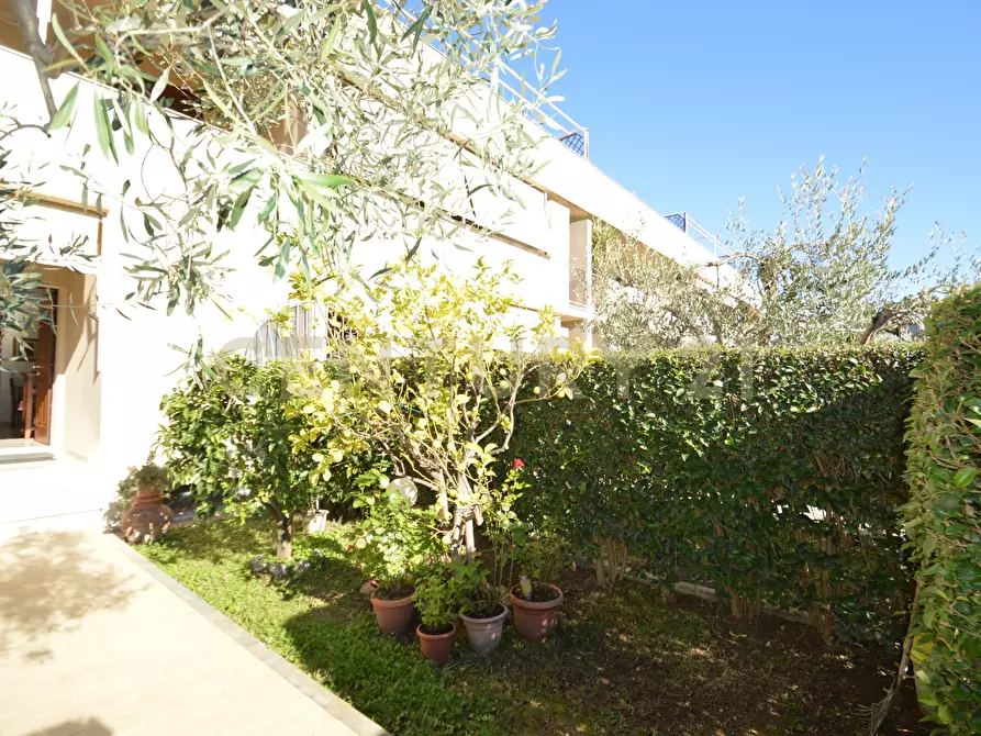 Immagine 3 di Villetta a schiera in vendita  a Grosseto