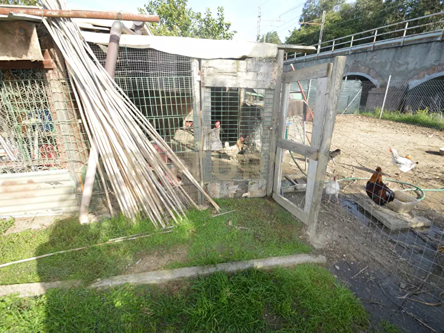 Immagine 13 di Terreno agricolo in vendita  in Via Alberto Sordi 12 a Grosseto