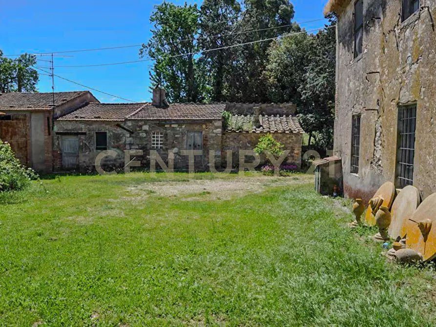 Immagine 2 di Rustico / casale in vendita  in Località Preselle sp 159 a Scansano