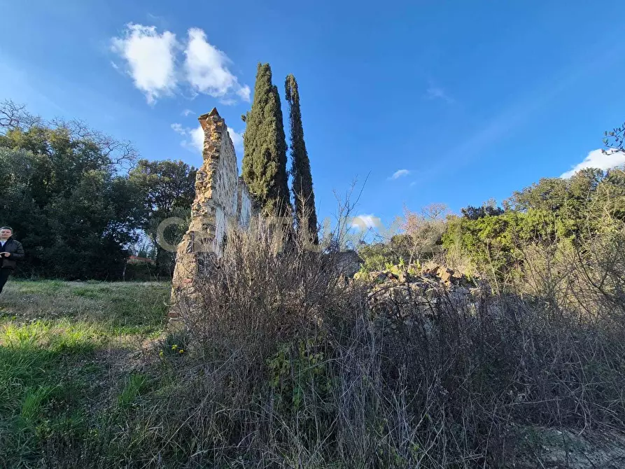 Immagine 6 di Rustico / casale in vendita  in loclaità fontepalma snc a Civitella Paganico