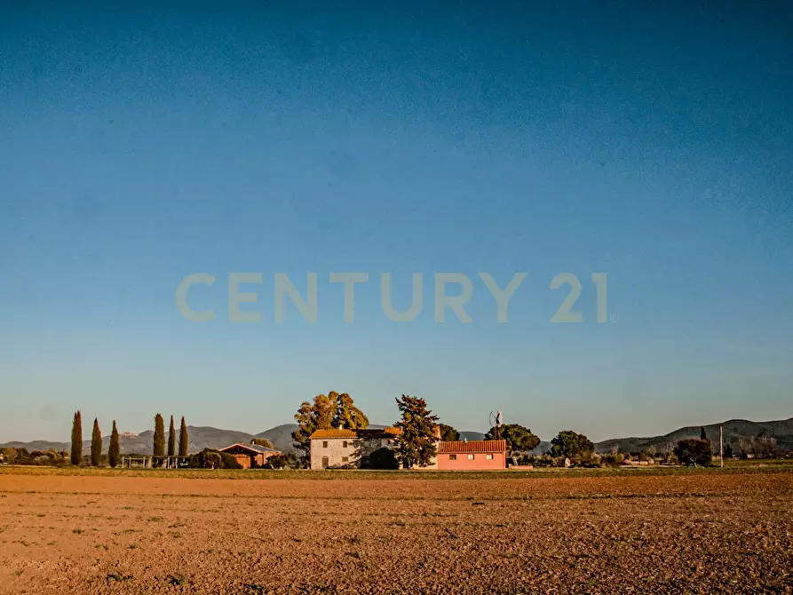 Immagine 45 di Rustico / casale in vendita  in località podere dogana a Roccastrada