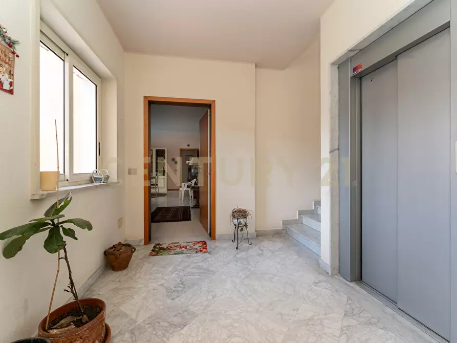 Immagine 39 di Pentalocale in vendita  in Via Nino Martoglio 13 a Valverde