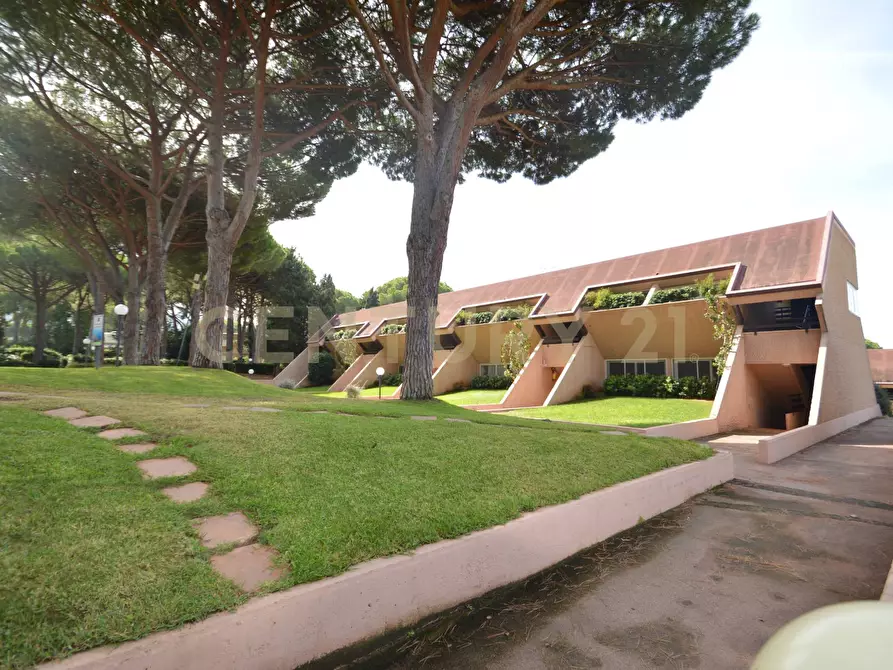 Immagine 30 di Appartamento in vendita  a Castiglione Della Pescaia