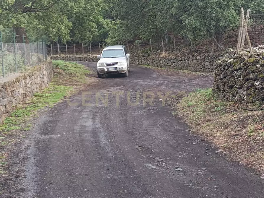 Immagine 5 di Terreno agricolo in vendita  in contrada porcheria SNC a Maletto