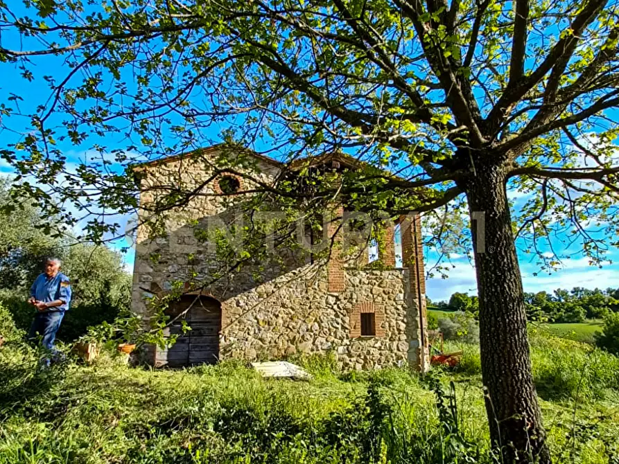 Immagine 2 di Rustico / casale in vendita  in località podere la vena 20 a Civitella Paganico