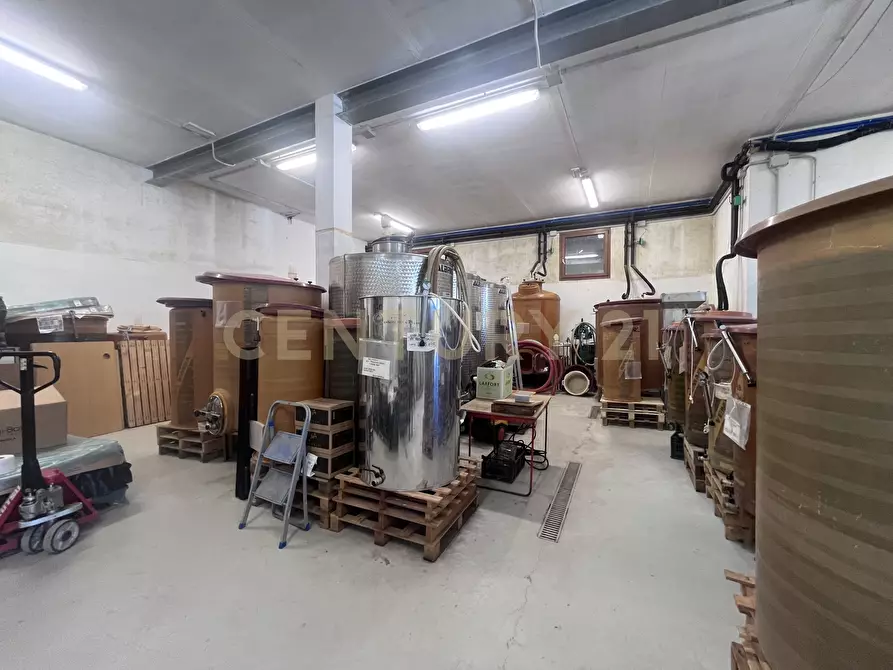 Immagine 9 di Azienda agricola in vendita  in Strada dei Sassi Bianchi a Manciano