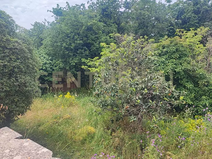 Immagine 5 di Casa indipendente in vendita  in VIA ANGELO MUSCO 24 a San Giovanni La Punta