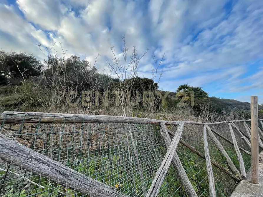 Immagine 5 di Villa in vendita  in Strada Vicinale del Grottino a Monte Argentario