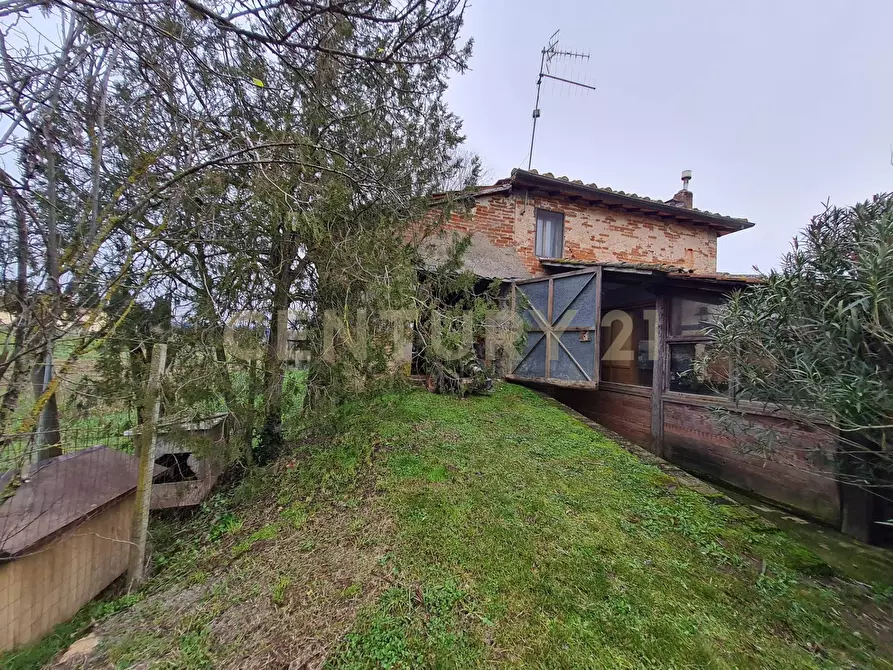 Immagine 21 di Rustico / casale in vendita  a Civitella Paganico