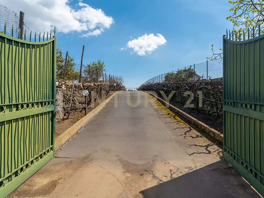 Immagine 1 di Villa in vendita  in Via Ramondetta 47 a Aci Sant'antonio