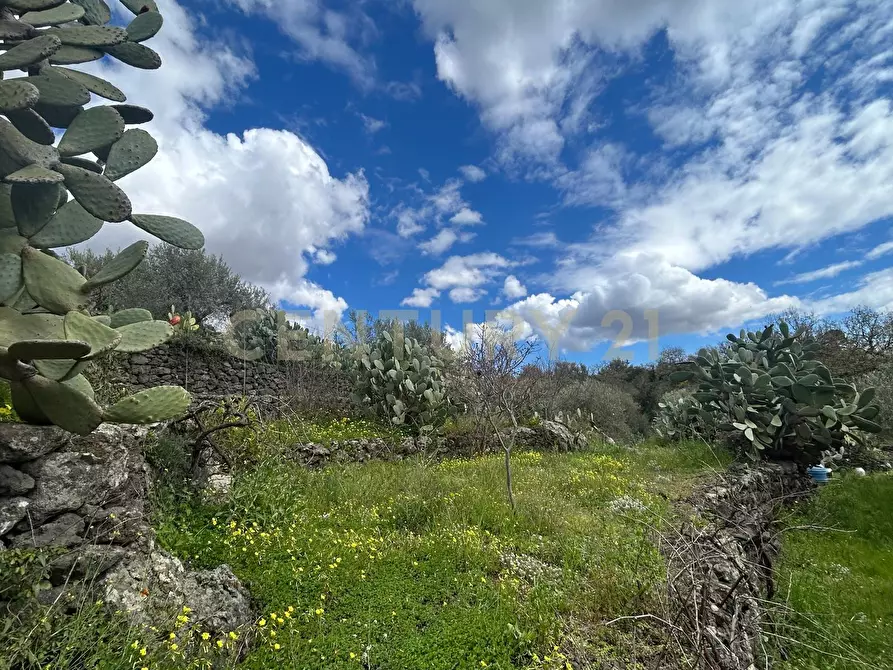 Immagine 20 di Terreno edificabile in vendita  in Viale Giovanni Falcone 9 a Camporotondo Etneo