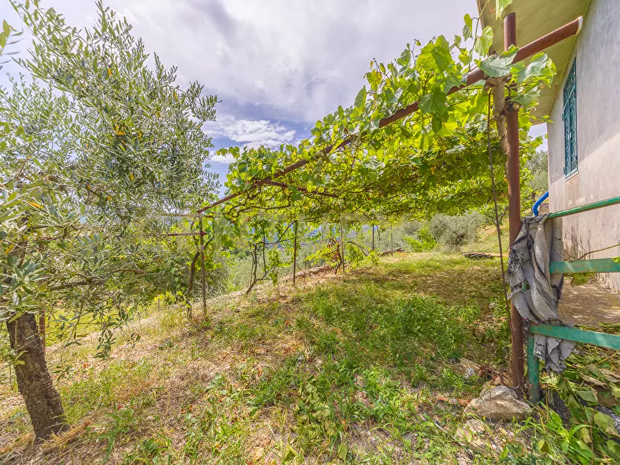 Immagine 39 di Rustico / casale in vendita  in via mercorano 1 a San Gregorio Da Sassola