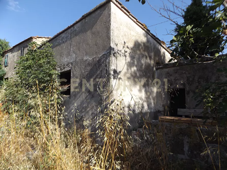 Immagine 4 di Rustico / casale in vendita  in LOCALITA CASETTE a Roccastrada